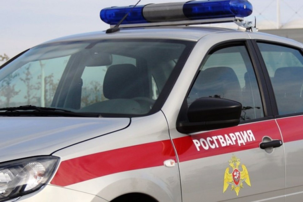 В Архангельске наряд Росгвардии задержал подозреваемого в краже